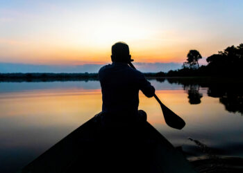 Amazônia lidera lista dos 15 principais destinos de ecoturismo do Brasil para 2026
