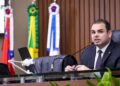 Projeto alerta para riscos de plantas tóxicas a crianças e pets durante as férias