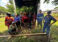 Com produção em alta, açaí do Amazonas é reconhecido oficialmente como fruta brasileira