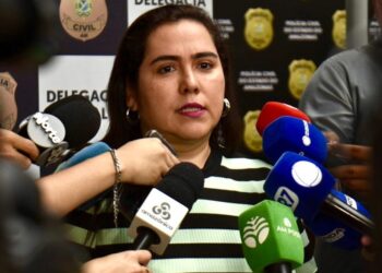Polícia Civil prende homem investigado por aplicar golpes com falsos serviços de metalúrgica em Manaus