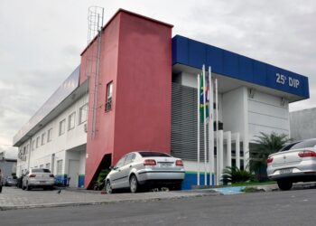 Falso pedreiro é preso pela Polícia Civil após dar calote em Manaus