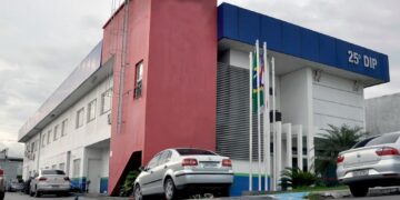 Falso pedreiro é preso pela Polícia Civil após dar calote em Manaus