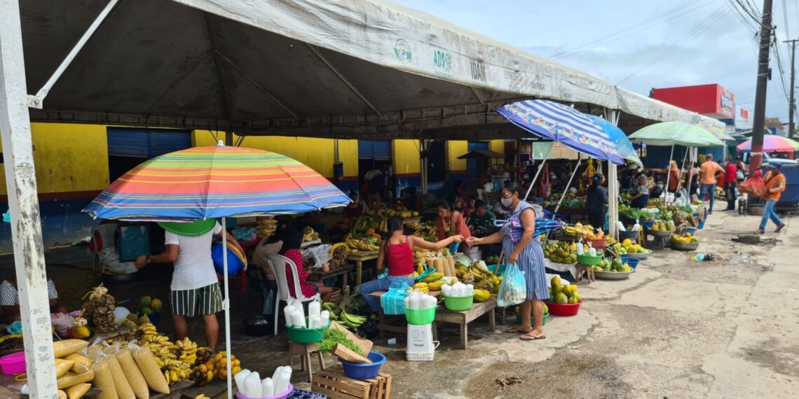 Insegurança alimentar na Amazônia altera percepção sobre natureza, diz estudo do AmazonFACE