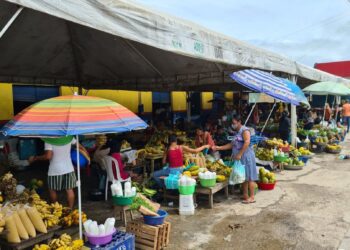 Insegurança alimentar na Amazônia altera percepção sobre natureza, diz estudo do AmazonFACE