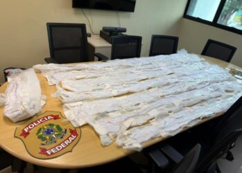 Polícia Federal apreende cocaína líquida em edredons nos Correios em Manaus