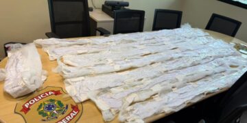 Polícia Federal apreende cocaína líquida em edredons nos Correios em Manaus