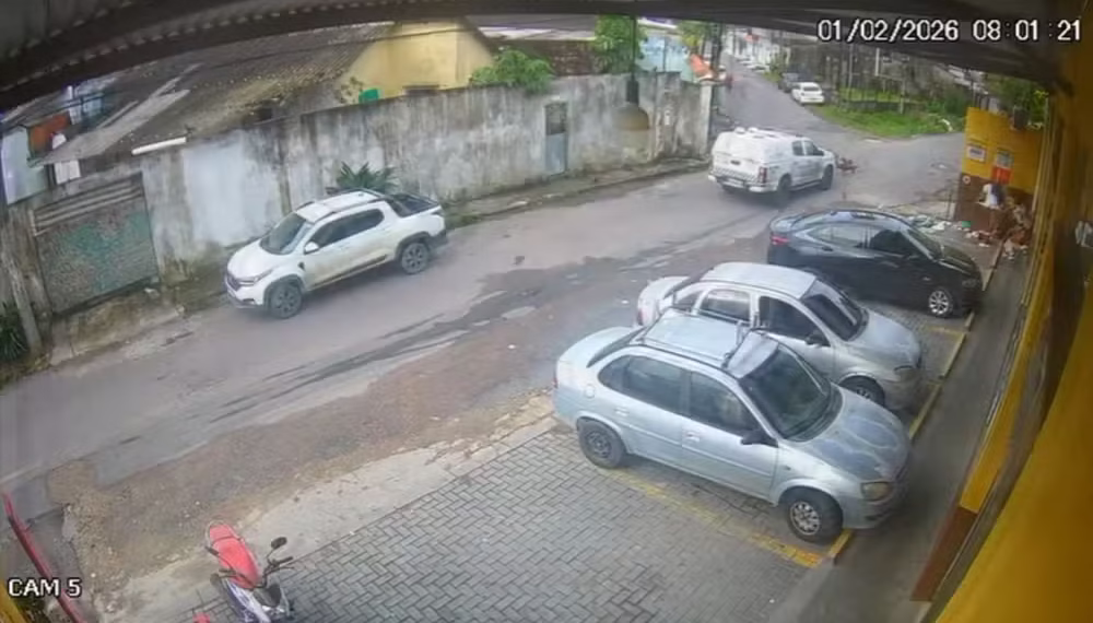 Viatura da PM atropela e mata dois cães no Novo Aleixo