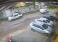 Viatura da PM atropela e mata dois cães no Novo Aleixo