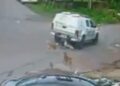 Justiça converte em preventiva prisão de PM que atropelou e matou cães em Manaus