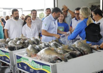 Wilson Lima abre entrega de 470 toneladas de peixe para 600 instituições no Amazonas