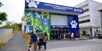 Hospital Público Veterinário do AM atende 26 mil animais em apenas cinco meses