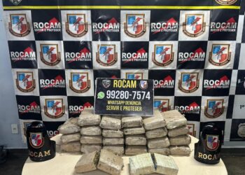 Rocam descobre ‘depósito subterrâneo’ e apreende 25 tabletes de maconha no Japiim