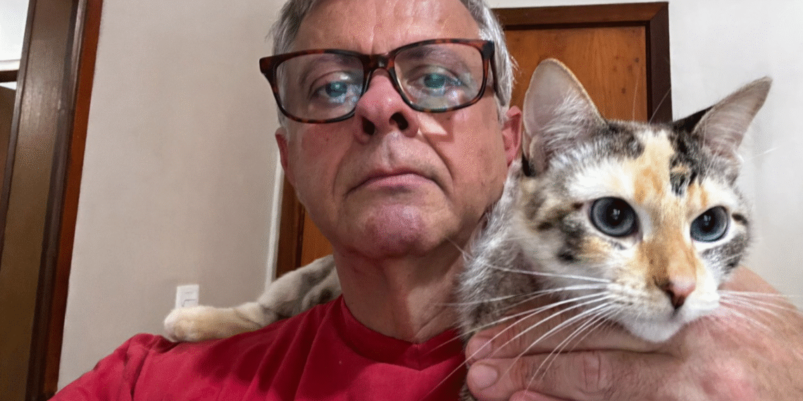 Esporotricose felina avança 300% e ciência brasileira cria tecnologia para frear a doença