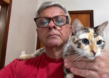 Esporotricose felina avança 300% e ciência brasileira cria tecnologia para frear a doença