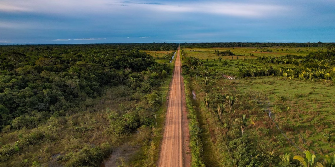 Justiça Federal suspende licitação da BR-319 às vésperas de pregão eletrônico