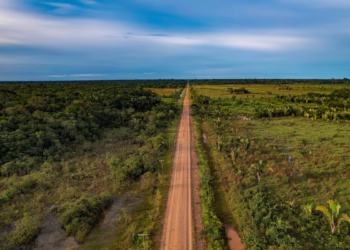 Justiça Federal suspende licitação da BR-319 às vésperas de pregão eletrônico
