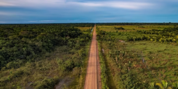 Justiça Federal suspende licitação da BR-319 às vésperas de pregão eletrônico