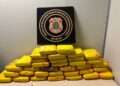 PF intercepta remessa de 37 kg de skunk em malas no Aeroporto de Manaus