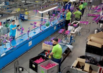 Produção de bicicletas em Manaus cresce 33% em março com salto nas elétricas