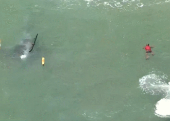 Helicóptero cai no mar da Barra da Tijuca e deixa três feridos