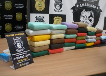 Denarc intercepta carga de drogas avaliada em R$ 1,6 milhão em porto na zona Leste