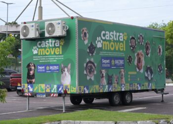 Castração Gratuita: Sepet abre agendamento para 300 vagas no bairro Cidade de Deus nesta quinta (02)