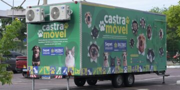 Castração Gratuita: Sepet abre agendamento para 300 vagas no bairro Cidade de Deus nesta quinta (02)