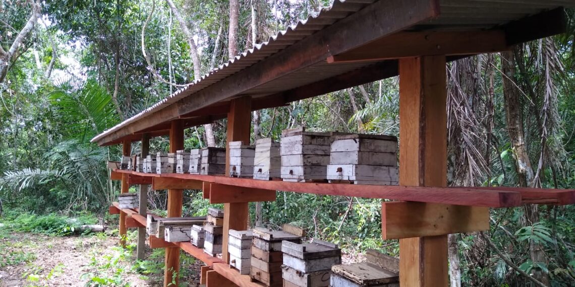 Congresso Amazonense de Meliponicultura