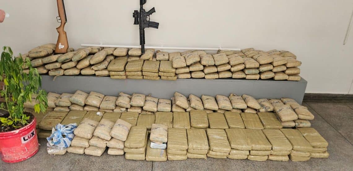 Denarc apreende 300 kg de skunk e prende casal do CV em Manaus
