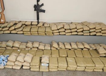 Denarc apreende 300 kg de skunk e prende casal do CV em Manaus