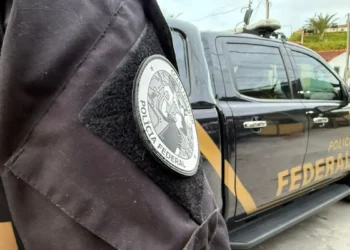 Polícia apreende mais de 2,5 toneladas de maconha escondidas em carga de alho no Paraná
