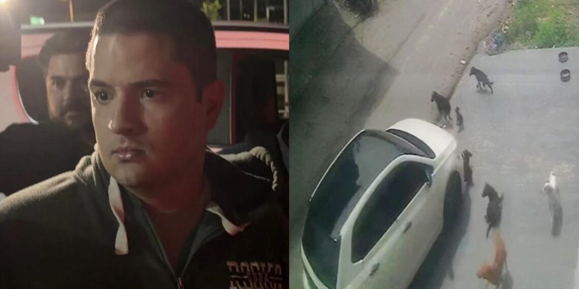 Homem é preso no aeroporto de Manaus após atropelar vários cães no Parque Dez