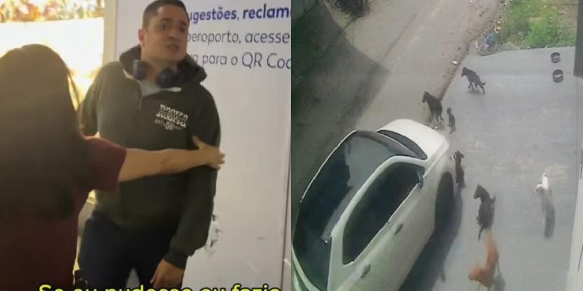 Justiça mantém preso homem que atropelou cães e tentou fugir para São Paulo