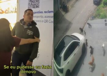 Justiça mantém preso homem que atropelou cães e tentou fugir para São Paulo