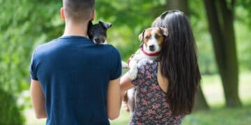 Senado aprova guarda compartilhada de pets em separações