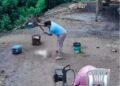 Polícia Civil de Porto Alegre investiga morte de cão a golpes de picareta