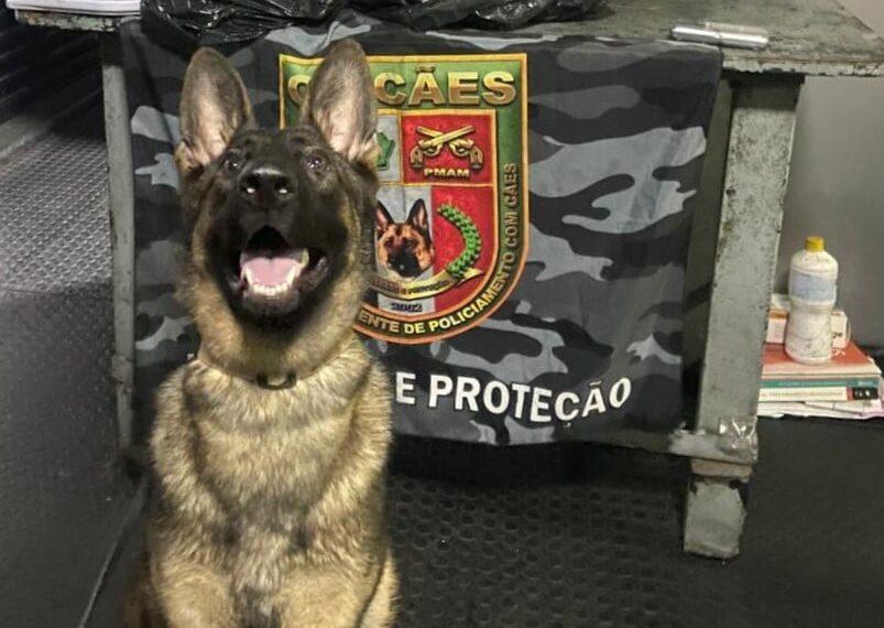 PMAM apreende 23 quilos de cocaína escondidos em cilindros frigoríficos
