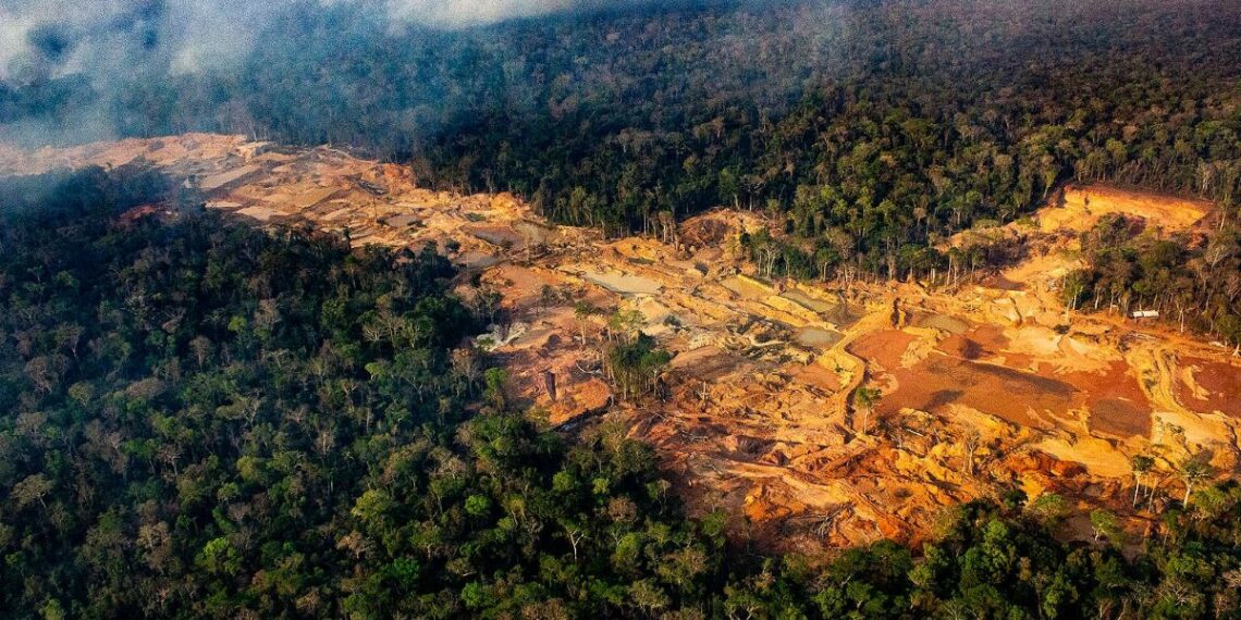 Câmara vota ‘pacote da destruição’ ambiental nesta terça, diz Greenpeace