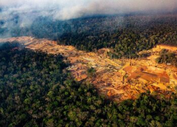 Câmara vota ‘pacote da destruição’ ambiental nesta terça, diz Greenpeace