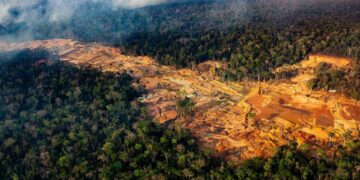 Câmara vota ‘pacote da destruição’ ambiental nesta terça, diz Greenpeace
