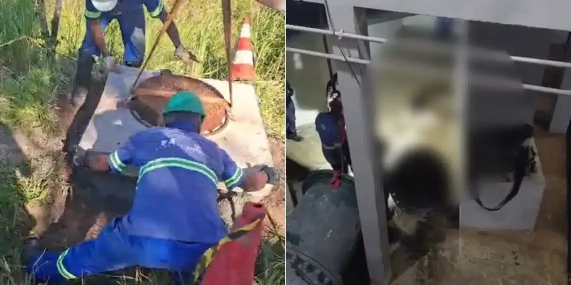 Égua cai em adutora interrompe abastecimento para 300 bairros na Grande BH