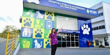 Hospital Veterinário do Amazonas atende 48 mil animais em 8 meses