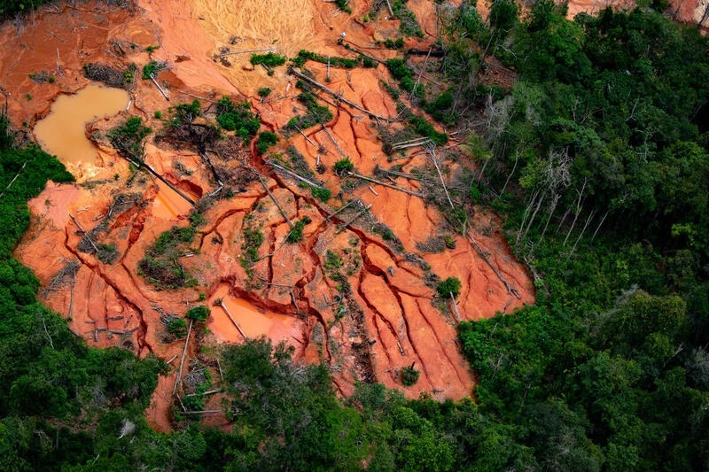 Inpe aponta queda de 61% no desmatamento da Amazônia em maio
