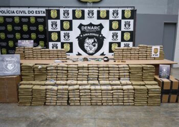 Polícia Civil apreende 6,8 toneladas de drogas no primeiro semestre