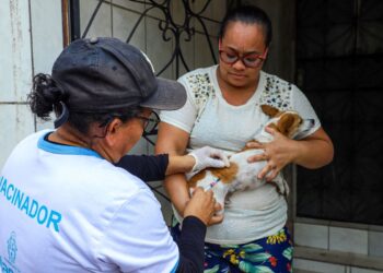 Semsa divulga convocação de aprovados para vacinação de pets