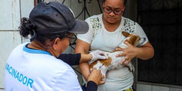 Semsa divulga convocação de aprovados para vacinação de pets