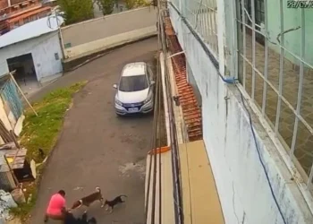 Servidor ligado a vereador é exonerado após caso de agressão
