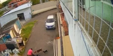 Servidor ligado a vereador é exonerado após caso de agressão