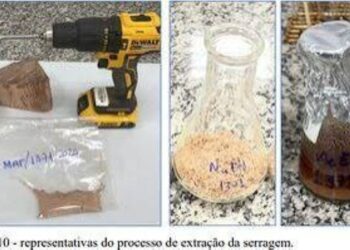 Perícia descarta droga em carga de 260 toneladas de madeira