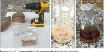 Perícia descarta droga em carga de 260 toneladas de madeira